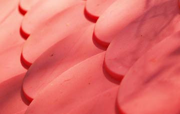 Cotford plastic roof costs