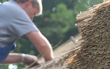 professional Cotford thatchers