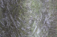 Cotford fibreglass roof work